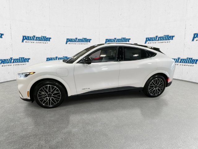 New 2026 White Ford Premium image 6