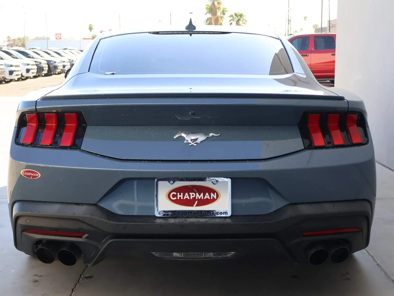 Used 2024 Vapor Blue Ford EcoBoost Premium image 4