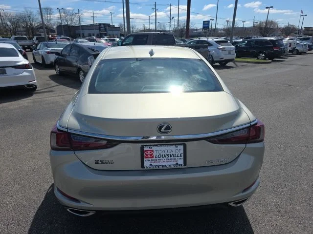 2019 Lexus ES 350 - Photo 6