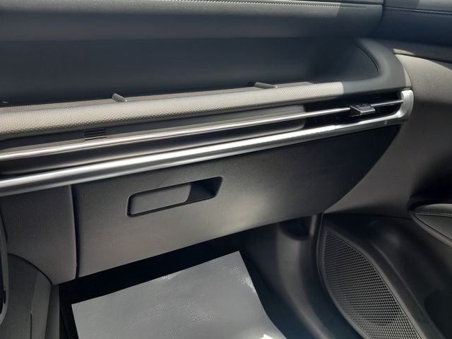 2025 Hyundai Santa Cruz SEL Activity - Photo 33