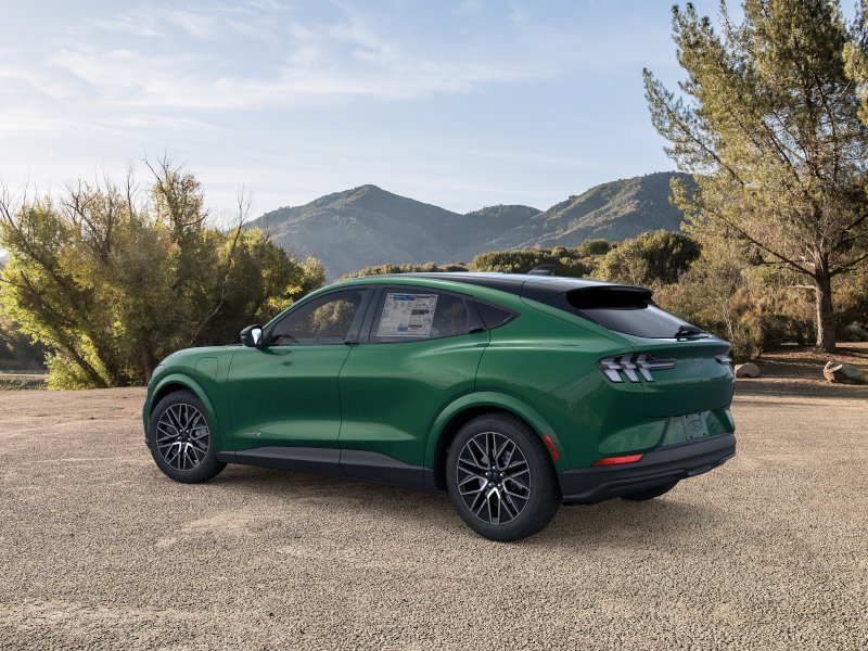 New 2026 Eruption Green Metallic Ford Premium image 26