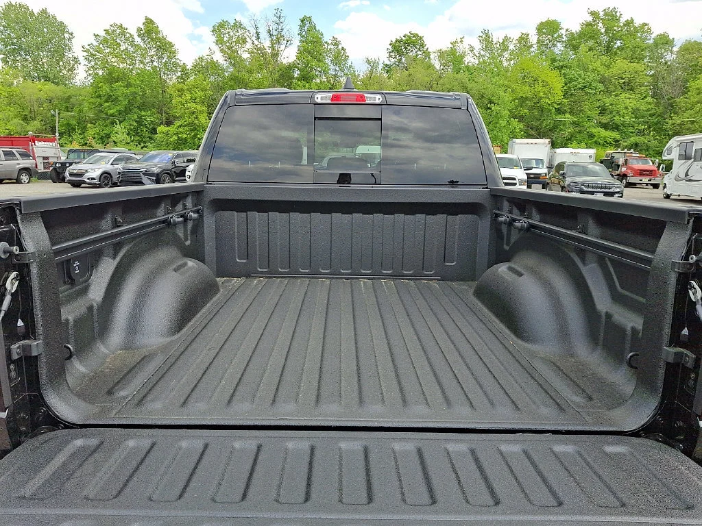 New 2026 Diamond Black Crystal Pearl-Coat Exterior Paint RAM Express image 21