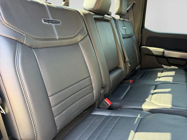 Used 2026  Ford Platinum image 17