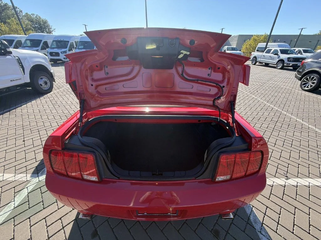 Used 2006  Ford GT Deluxe image 26