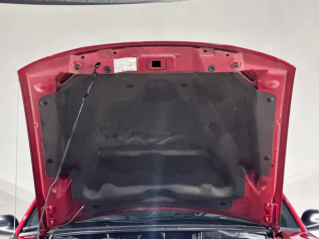Used 2004  Ford GT image 30