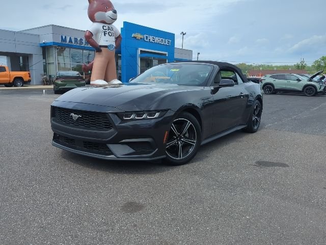 Used 2009 Ford Mustang GT Premium with VIN 1ZVHT82HX95117870 for sale in Dry Ridge, KY