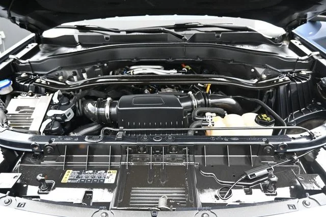 Used 2021 Blue Ford Platinum image 31