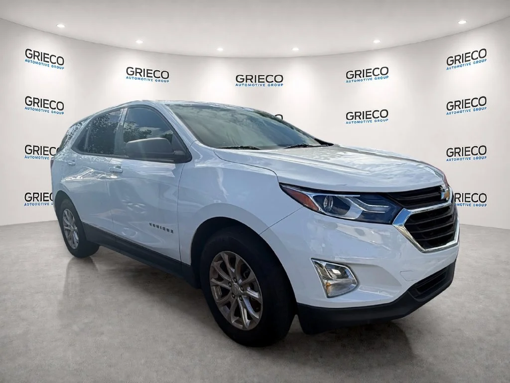 Used 2019 SUMMIT WHITE Chevrolet LS image 1