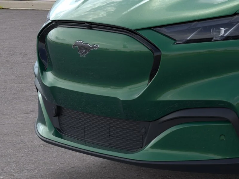 New 2026 Eruption Green Metallic Ford Premium image 41