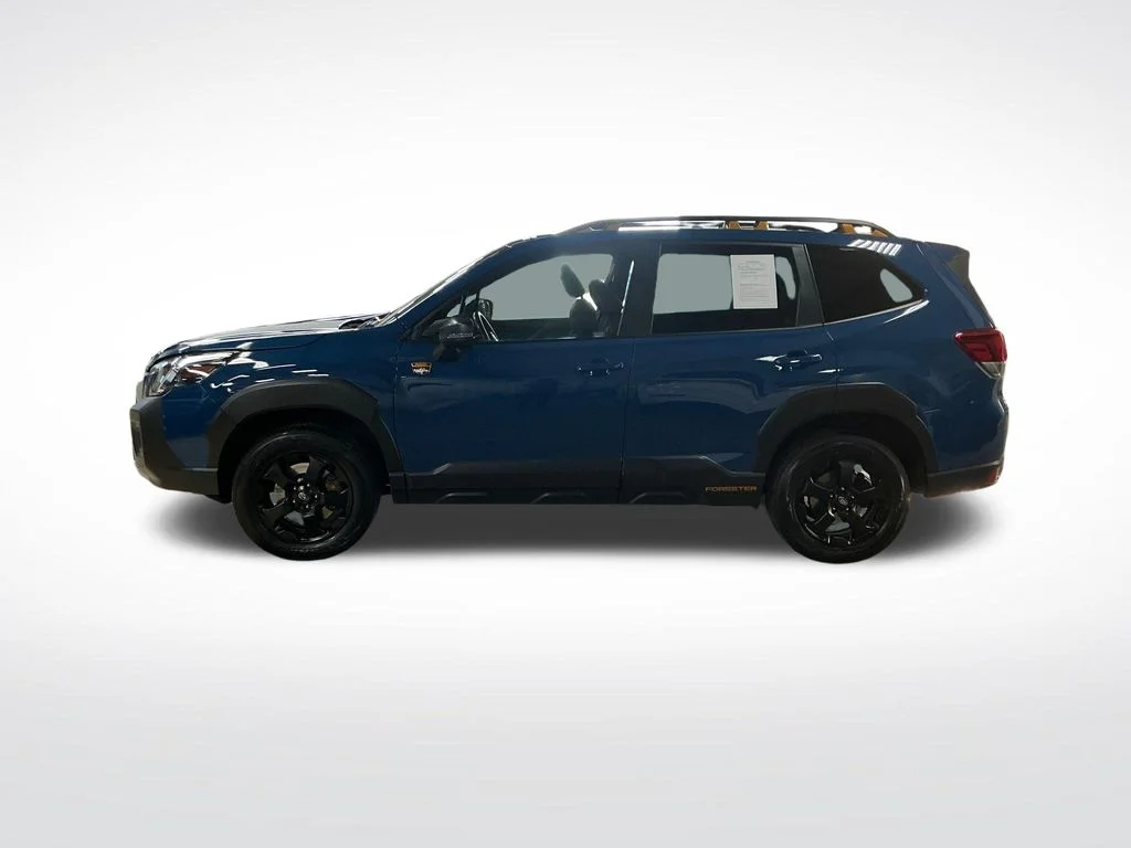 Used 2024 Blue Subaru Wilderness image 2
