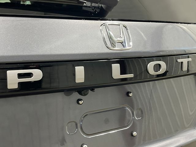 New 2026 Modern Steel Metallic Honda Elite image 7