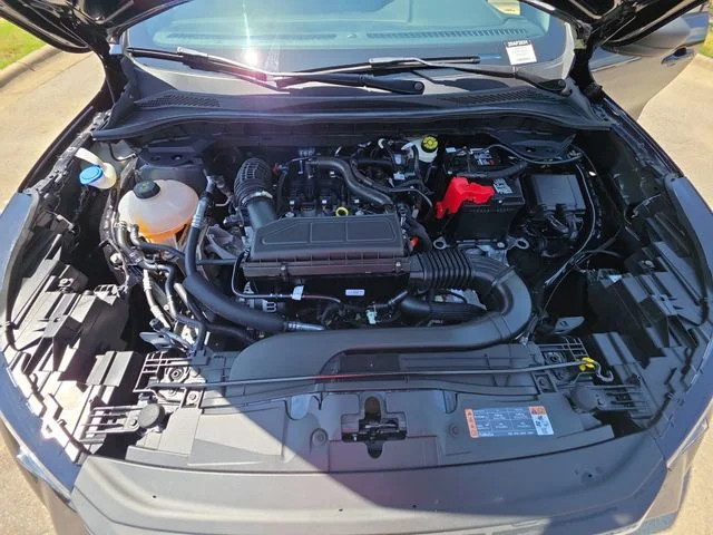 Used 2023 Black Ford ST-Line image 32