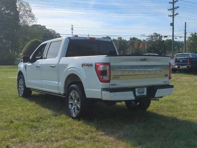 Used 2022 White Ford Platinum image 11