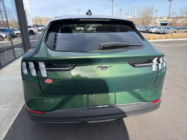 New 2026 Eruption Green Metallic Ford Premium image 4