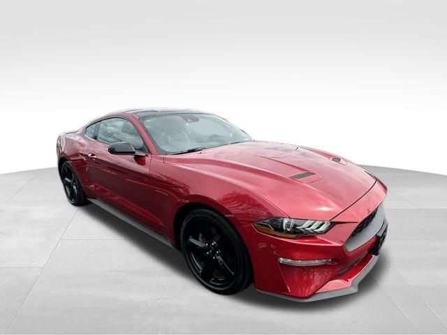 Used 2022 Red Ford EcoBoost Premium image 11