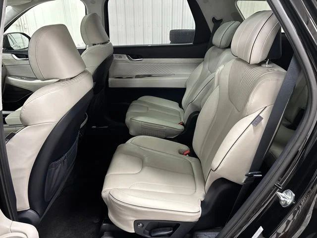 Used 2023 Black Hyundai Calligraphy image 35