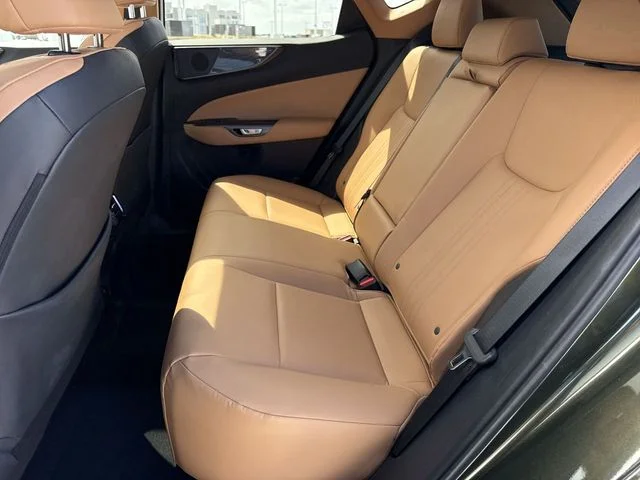 Used 2024 Green Lexus 250 Premium image 23