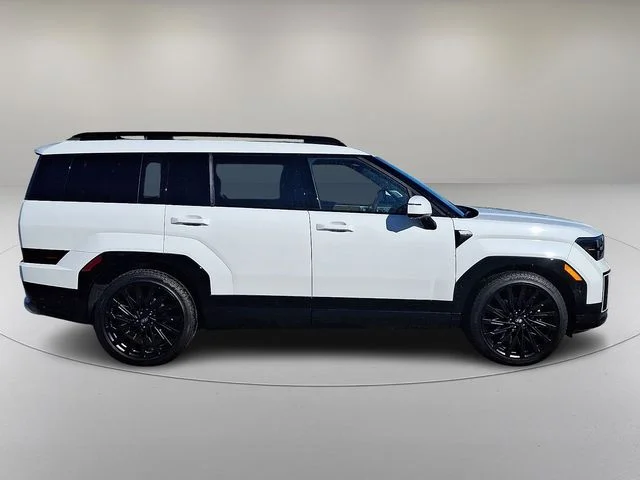 New 2026 White Hyundai Calligraphy image 8