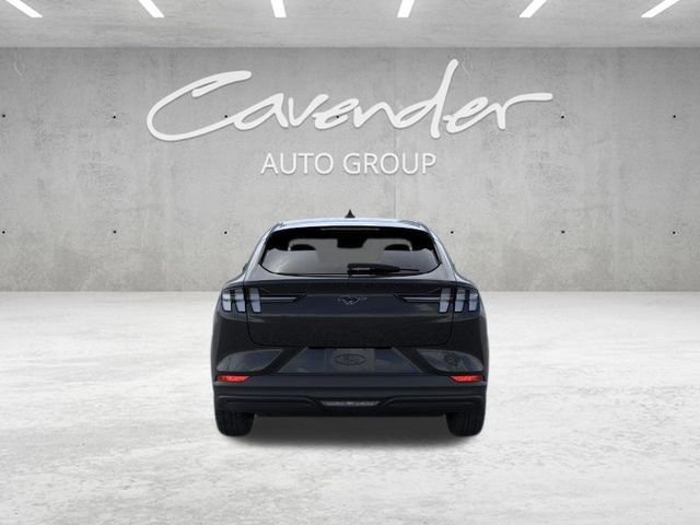 New 2026 Shadow Black Ford Premium image 6
