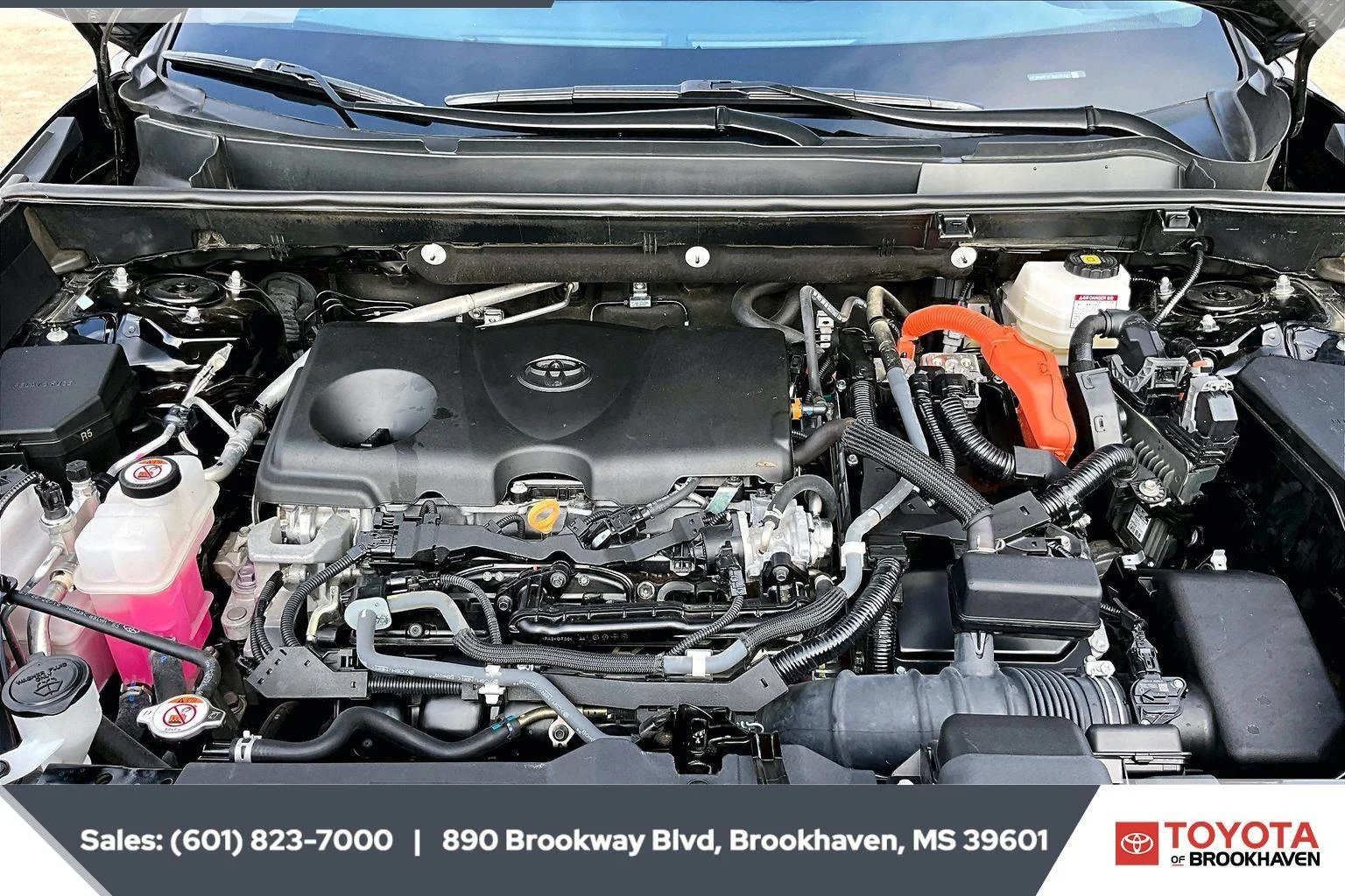 Used 2022 Midnight Black Metallic Toyota Hybrid XLE image 9