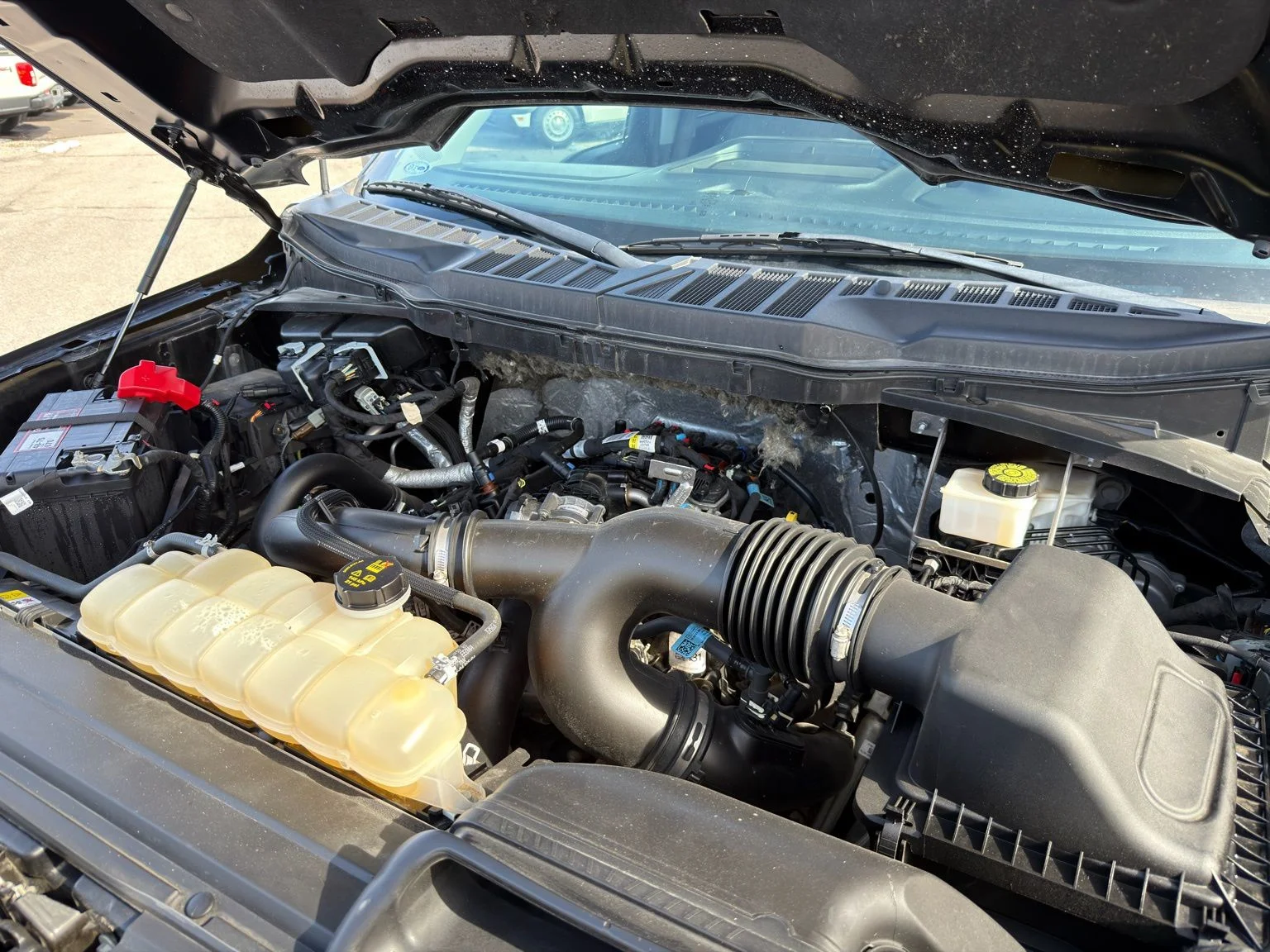 Used 2021  Ford XLT image 39