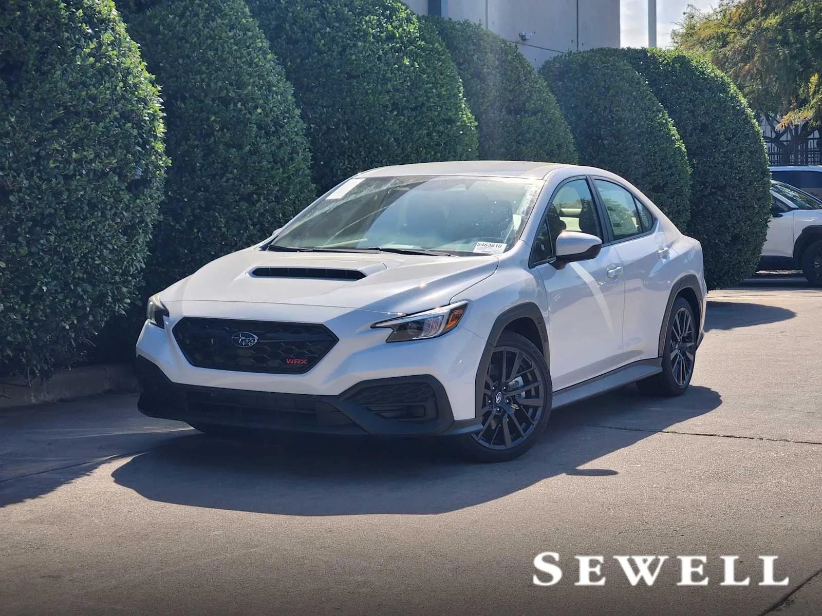 New 2026 Subaru WRX Base
