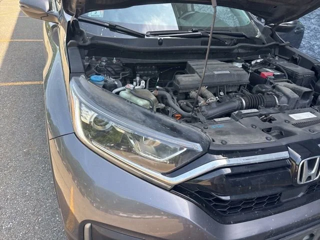 Certified Used 2020 Gray Honda EX-L image 18