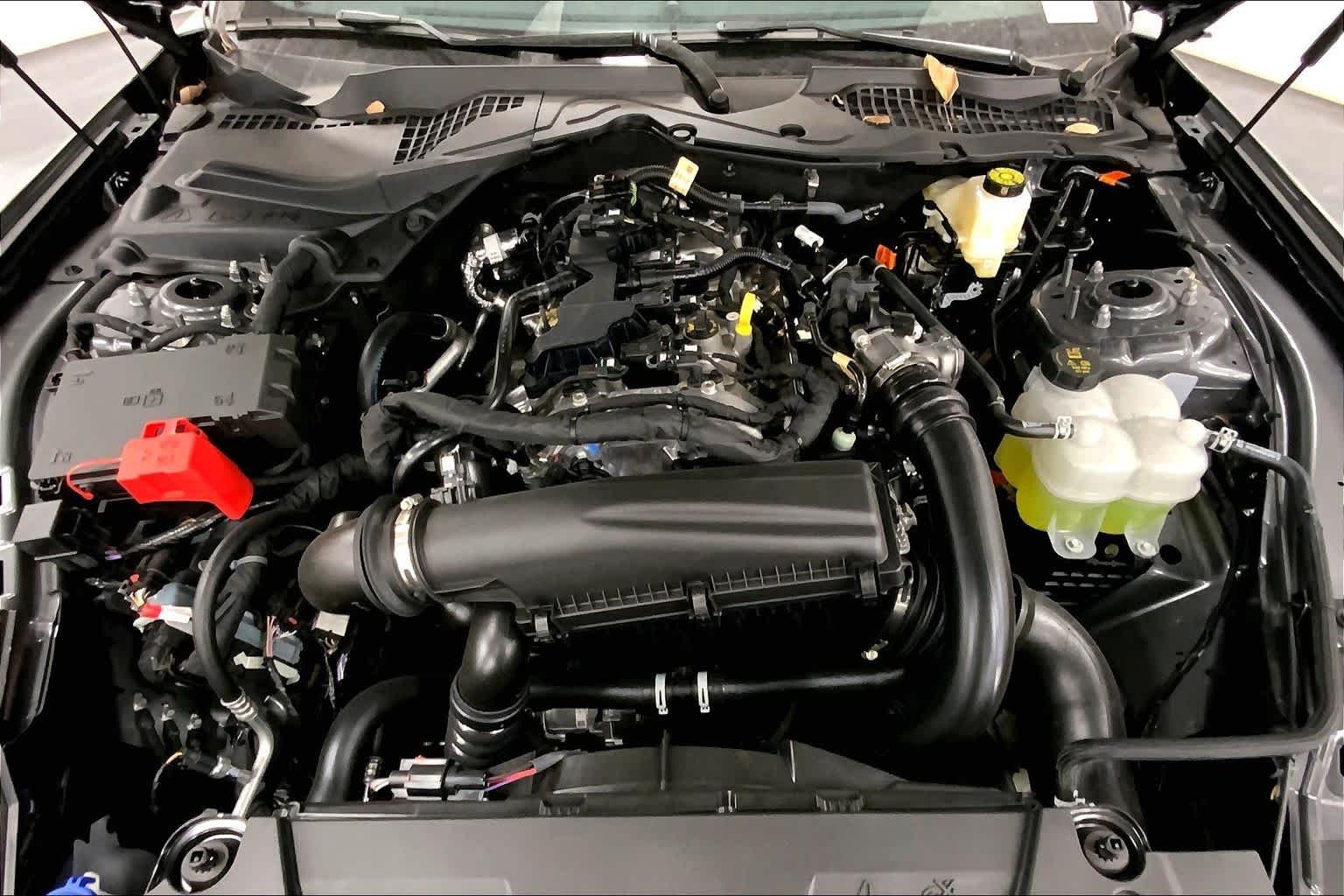 New 2026 Carbonized Gray Metallic Ford EcoBoost® Fastback image 15