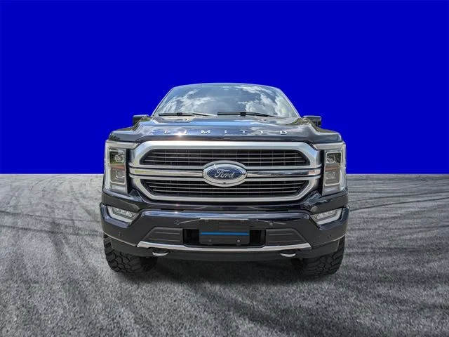 Used 2021 Blue Metallic Ford Limited image 9