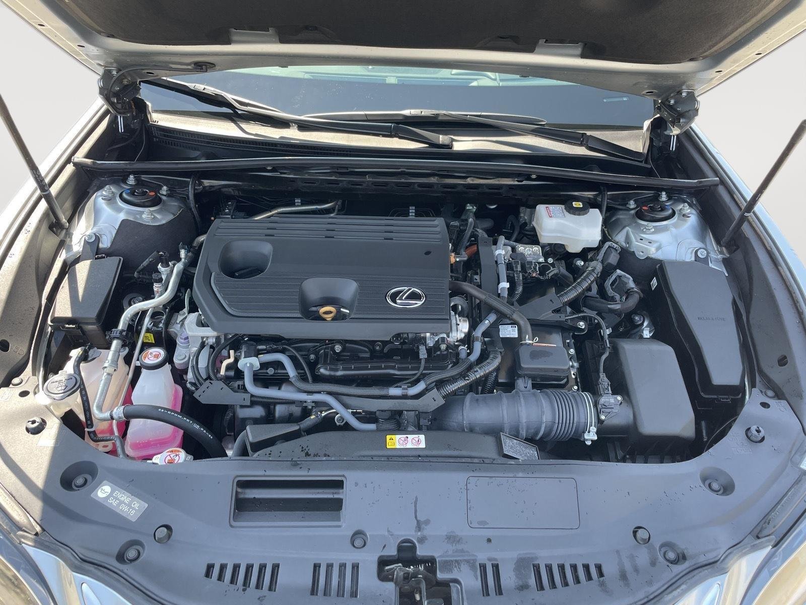 Used 2025 Iridium Lexus Base image 18