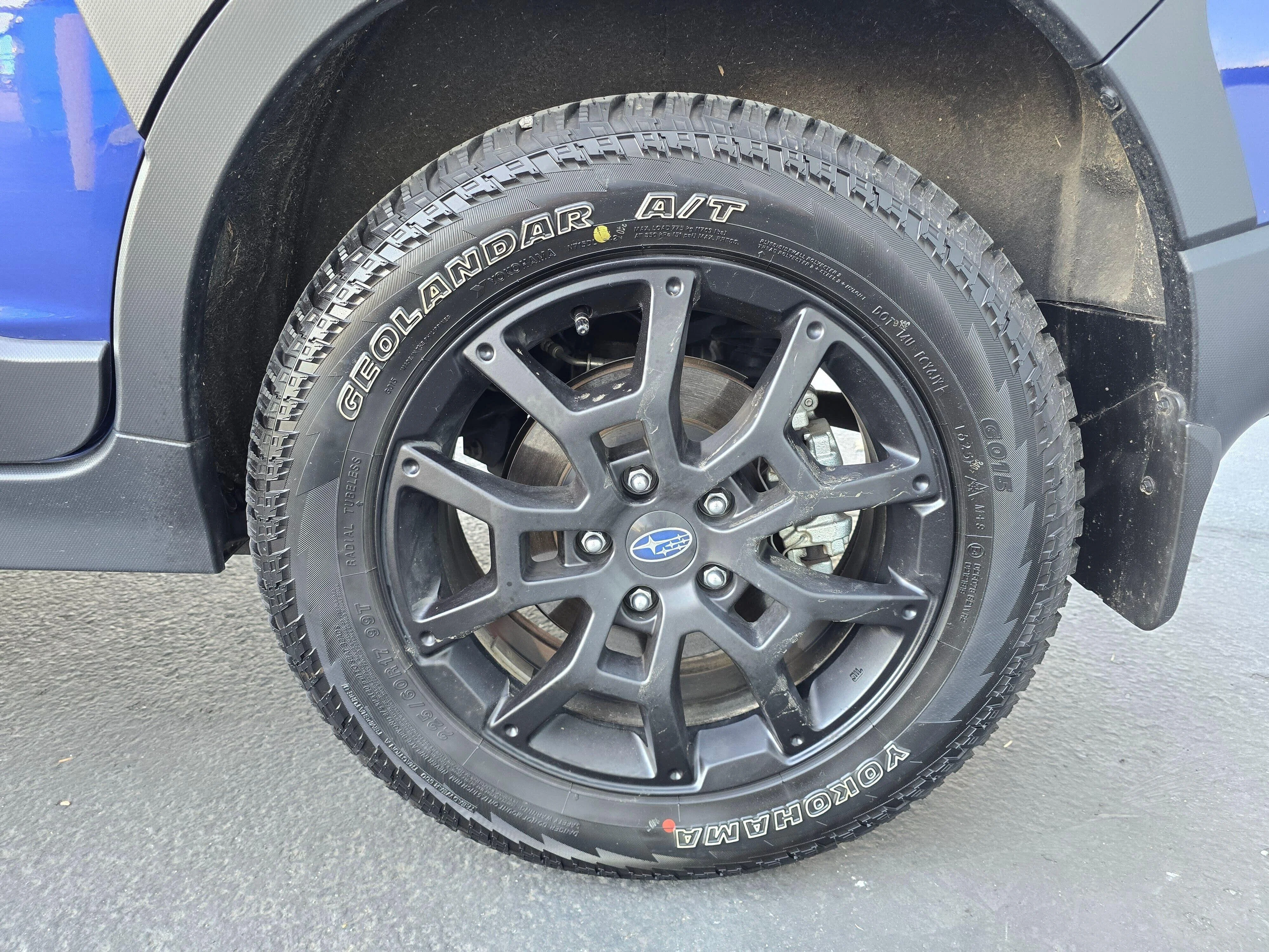 Used 2025 Sapphire Blue Pearl Subaru Wilderness image 6