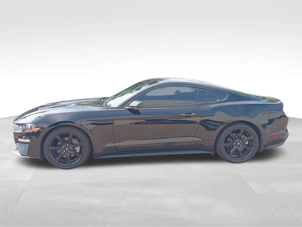 Used 2019 Shadow Black Ford EcoBoost Premium image 8