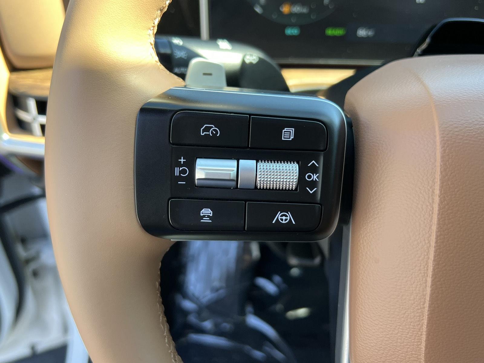2025 Hyundai Santa Fe Limited - Photo 34
