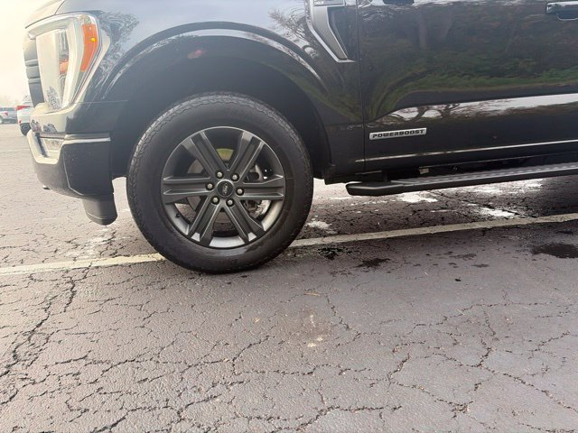 Photo 4