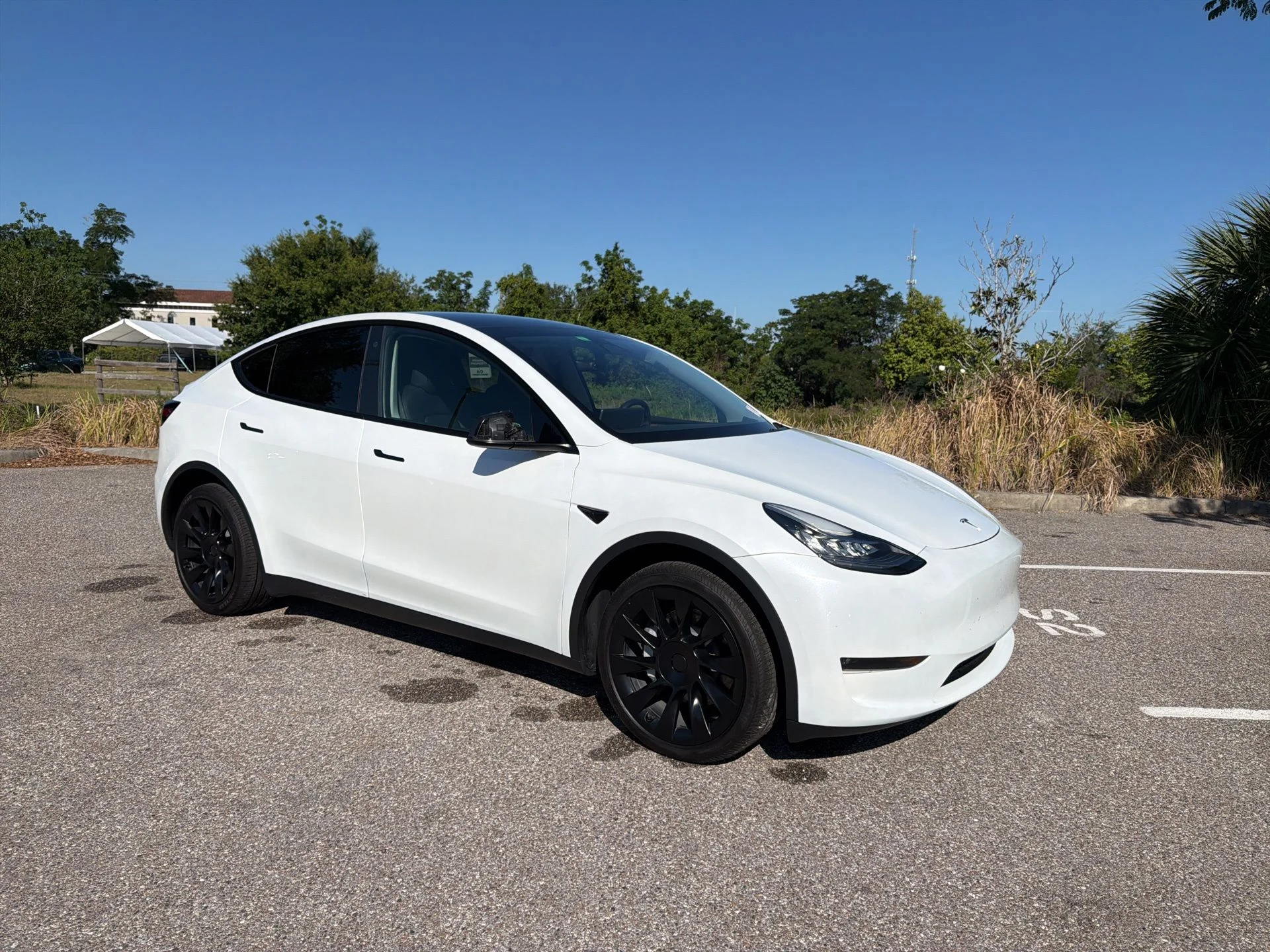 2023 Tesla Model Y Long Range Dual Motor All-Wheel Drive's photo