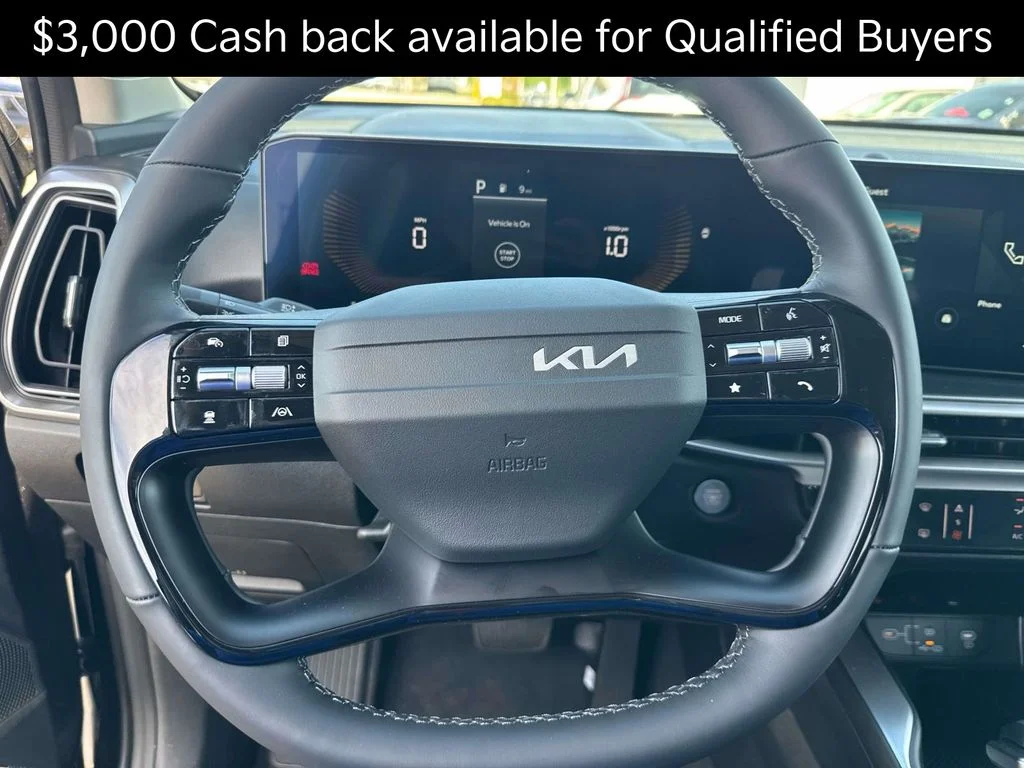 New 2026 Panthera Metal Kia LX image 10