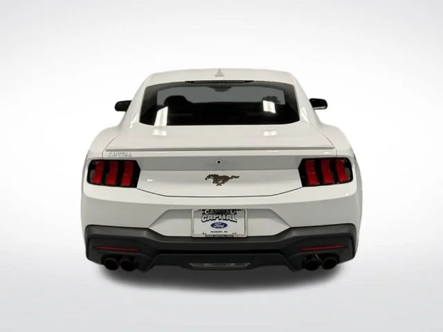 Used 2025 White Ford EcoBoost Premium image 7