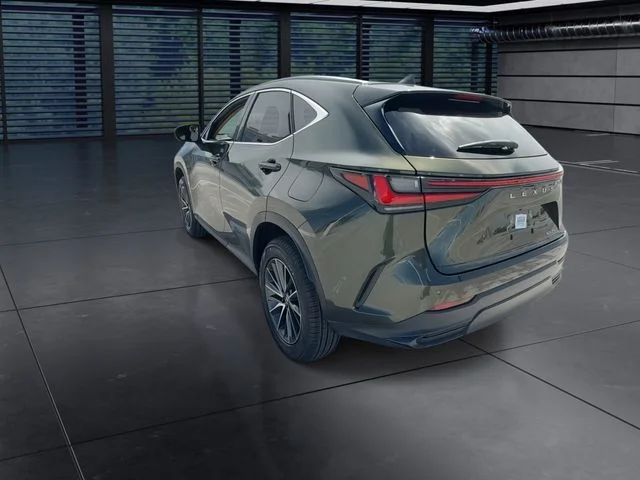Used 2024 Green Lexus 250 Premium image 6