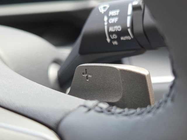 New 2026 Iridium Lexus PREMIUM image 16
