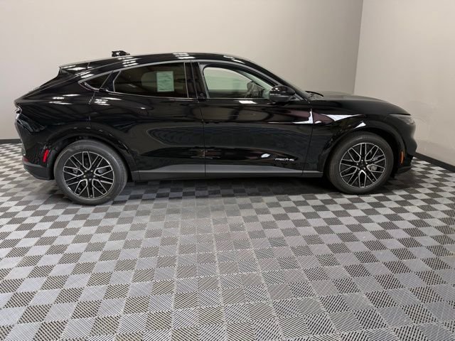 New 2026 Shadow Black Ford Premium image 7