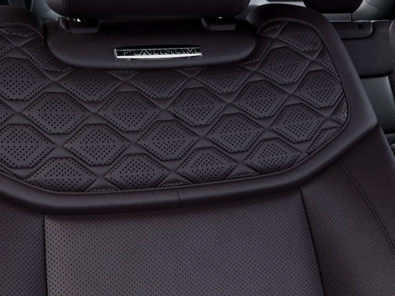 New 2027 Agate Black Metallic Ford Platinum™ image 16