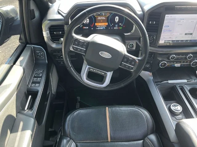 Used 2021 Silver Ford Platinum image 18