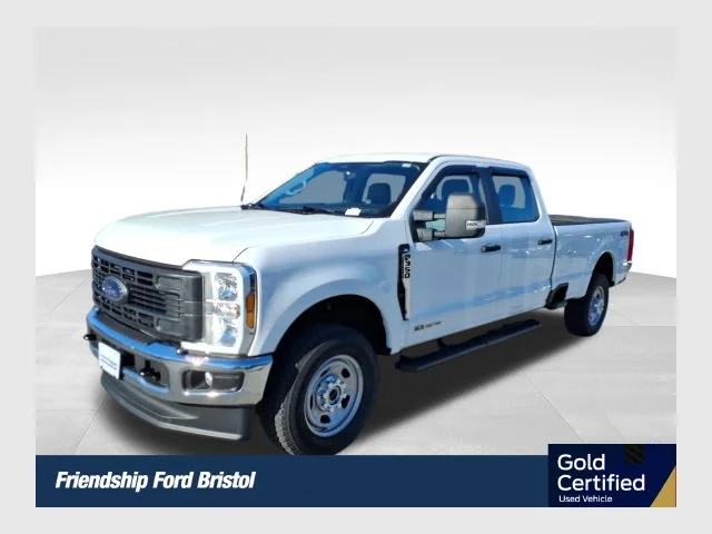 Used 2025 White Ford XL image 1
