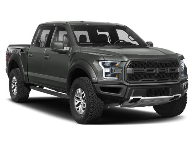 Used 2018 Magnetic Ford Raptor image 6