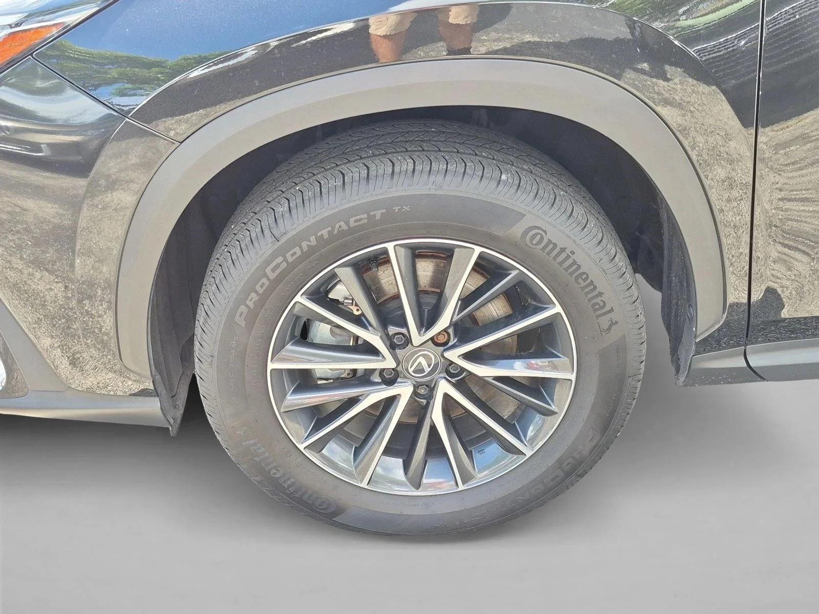 2025 Lexus NX 250 - Photo 23