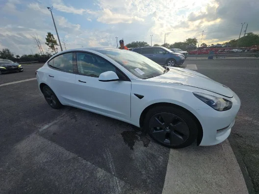 2023 Tesla Model 3's photo