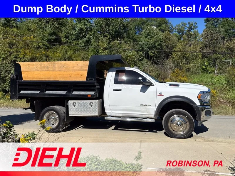 Used 2019 White Ram Tradesman image 8