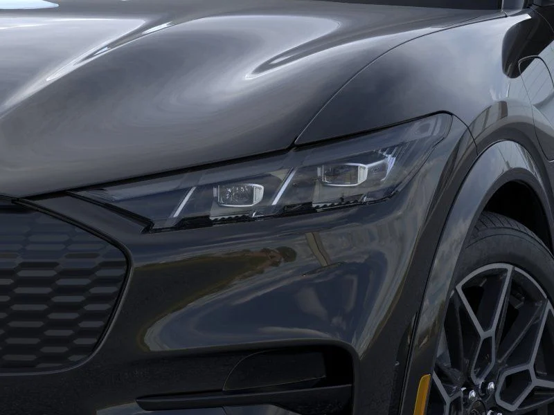 New 2026 Shadow Black Ford GT image 18