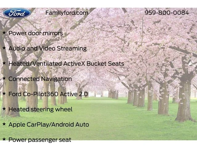 New 2026 Glacier Gray Metallic Tri-coat Ford Premium image 48