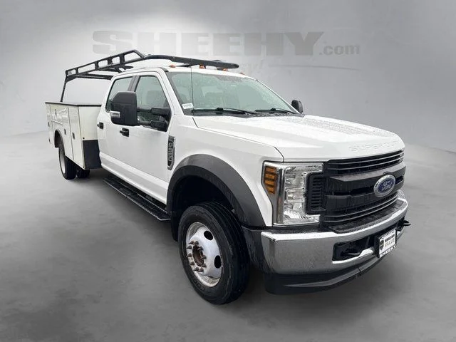 Used 2019 White Ford XL image 2